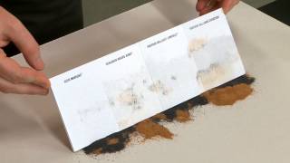 BEHR® Marquee™ Exterior Paint and Primer for Pros - The Home Depot