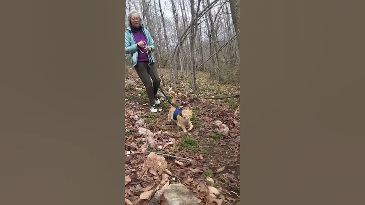 Murphy's Trail Walk Feb 2022