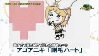 半蔵門メトロポリタンゲート アゴアニキ「剛毛ハート」