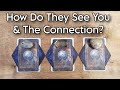 🤯💕 How Do They See You & The Connection? Pick A Card Love Reading