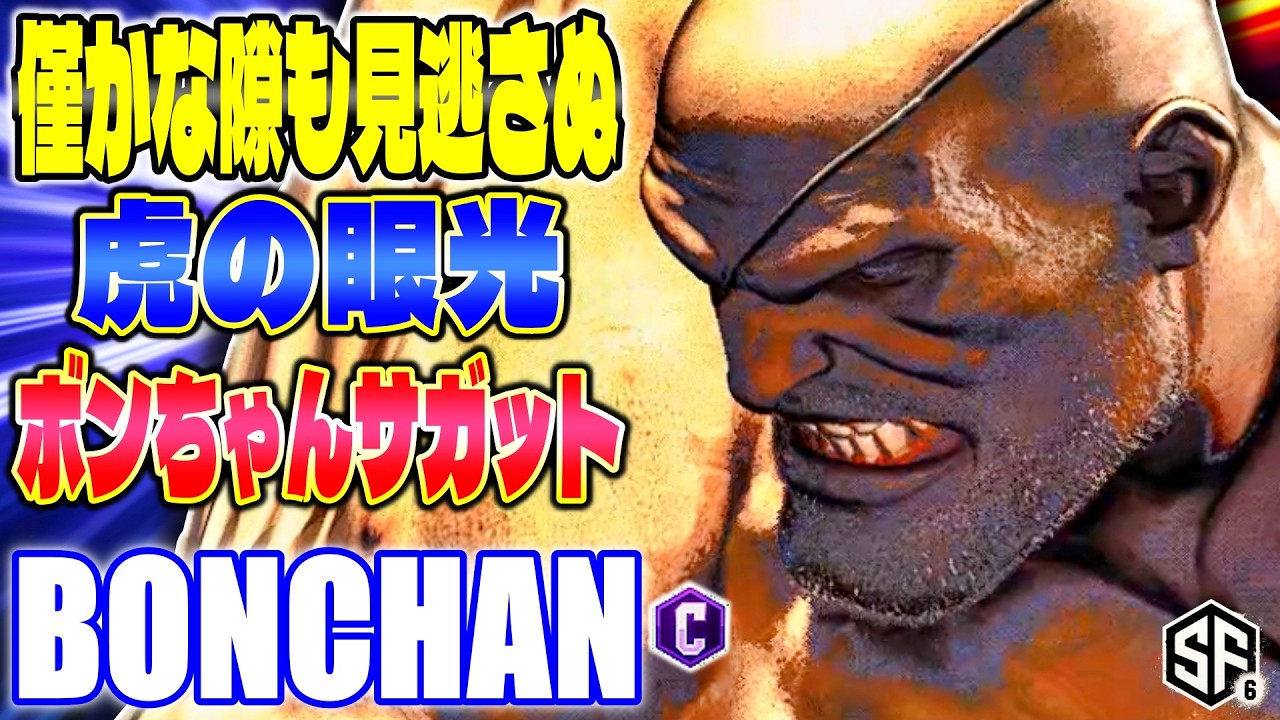【スト6】僅かな隙も見逃さぬ虎の眼光 ボンちゃん (サガット) 【STREET FIGHTER 6】