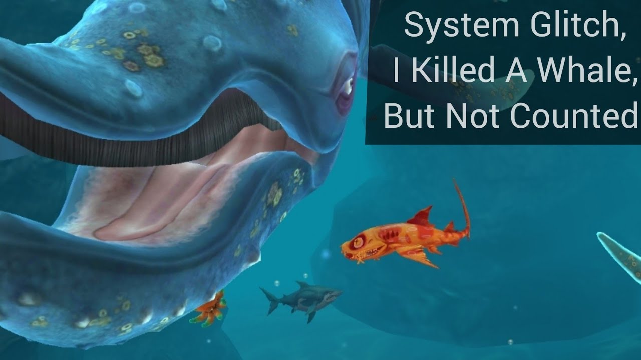 Hungry Shark World System Glitch Quest Using Heidi Eat 1 Blue Whale Bug Error You Know Why Youtube