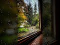 Rain On The Window #outlawcountry#countrymusic#cowboymusic #darkcountry#countryshorts#cowboy #outlaw