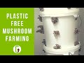 Plastic Free Mushroom Farming