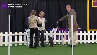 Masters Obedience Championship | WKC | Part 1