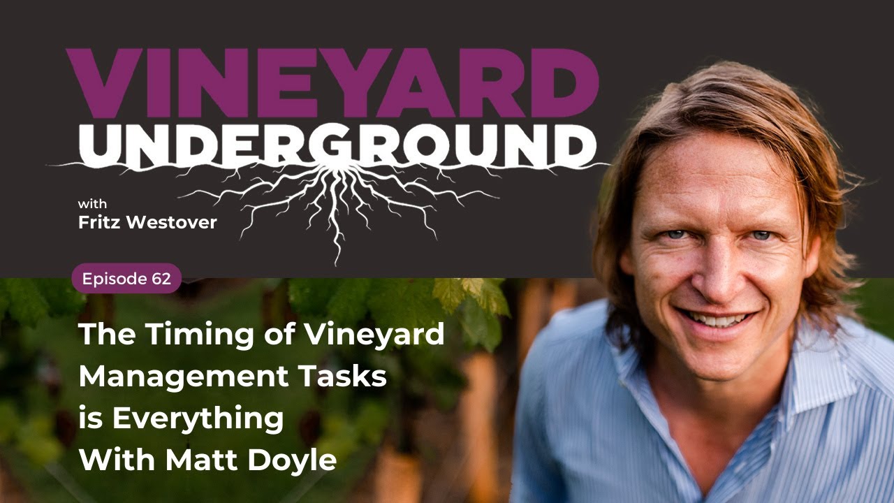 Ep 62: The Timing of Vineyard Management Tasks is Everything 
