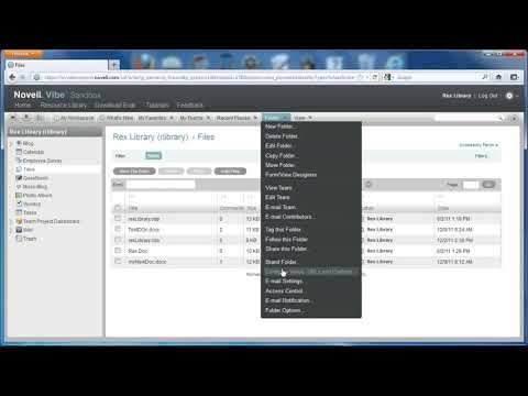 Vibe 3.2   File Management   Multi Delete and File Version Size Limit