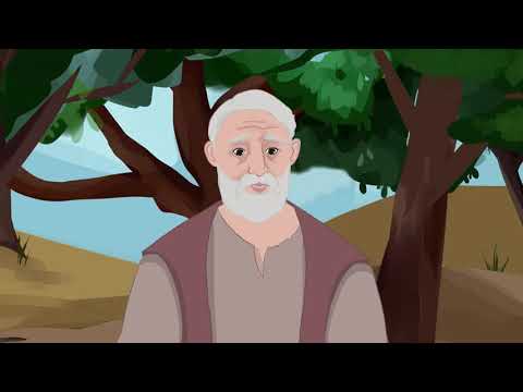 13. მულტფილმი: ღვთის სამართალი 5 წთ.