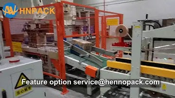 hennopack robotic case packer and robotic palletizer