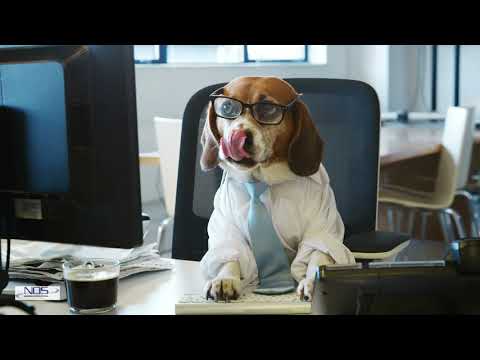 SAM Furniture Management Systems  from NOS