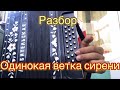 ОДИНОКАЯ ВЕТКА СИРЕНИ! РАЗБОР НА ГАРМОНИ (для новичков и не только)