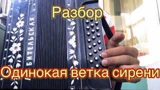 ОДИНОКАЯ ВЕТКА СИРЕНИ! РАЗБОР НА ГАРМОНИ (для новичков и не только)