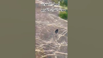 ♥️🤲قران كريم بصوت جميل للشيخ اسلام صبحي #المصحف #راحة_نفسية #اكسبلور#الرحمن #voiceeffects