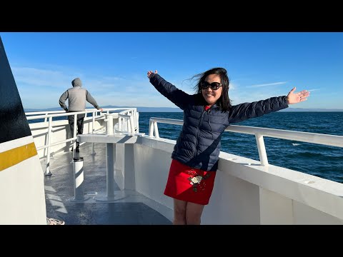 Video: Ngắm cá voi ở San Francisco