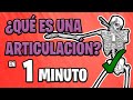 ✅ ¿QUÉ SON LAS ARTICULACIONES? 😱 | FÁCIL en 1 MINUTO