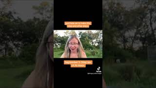 September 5: Step 10 Al-Anon