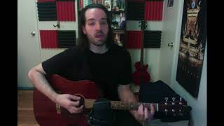 Interpol - NYC (Dave Shichman Acoustic Guitar Cover)