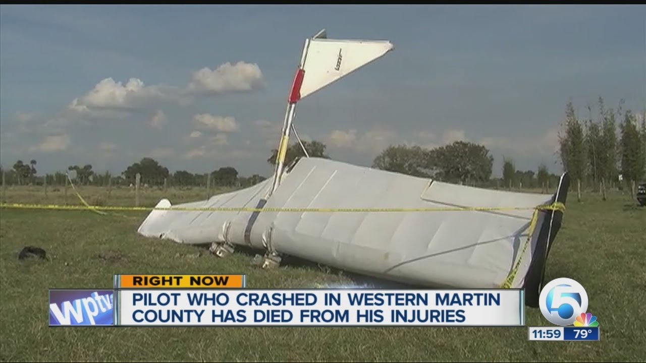 Pilot in ultralight crash has died