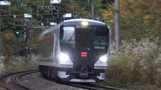 上越線 E257系5500番台OM-51編成 臨時特急谷川岳ループ　岩原スキー場前→越後中里にて　/Japanese Train E257Series