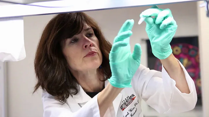 Center for Excellence in Spine Research