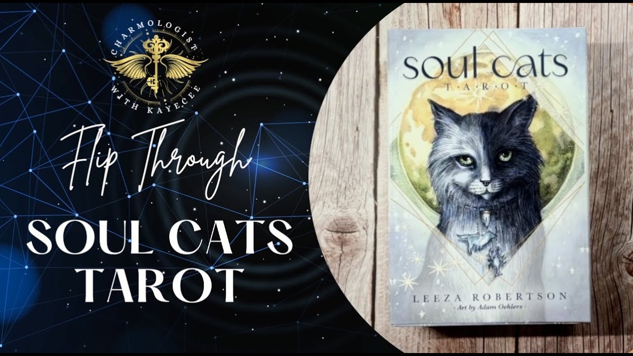 🗝️ Tarot Unboxing: Soul Cats Tarot Walkthrough 
