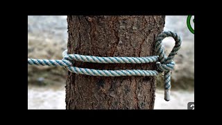 Two Most Useful Constructive Knots