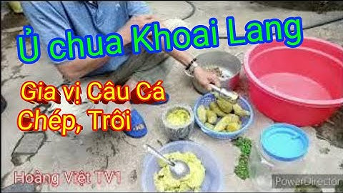 Cách Ủ Khoai Lang làm Mồi câu cá Chép, Trôi hồ tự nhiên