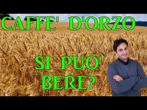 Video: Benefici Ed Effetti Collaterali Dell'acqua D'orzo