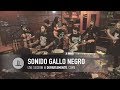 Sonido Gallo Negro  | Live @ Departamento, CDMX