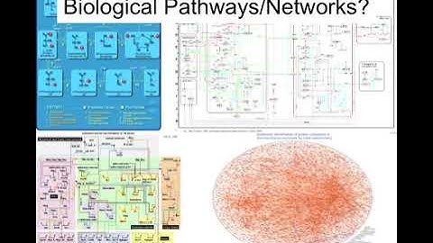 Network Visualization