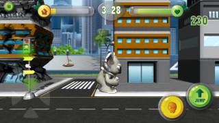 Koala Crush. iOS Gameplay. screenshot 3