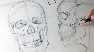 Drawing Skulls Made Easy for Beginners [skull]