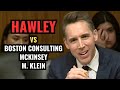 Josh hawley and maggie hassan embarrass executives from boston consulting mckinsey and m klein