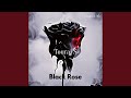 Black rose