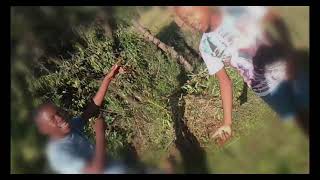 Nare ya Leribe_-_Kazi yaka_Feat_Lorna minaj_Out soon