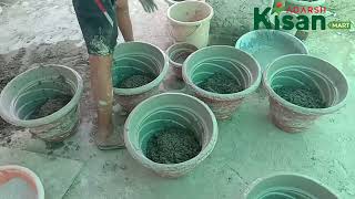 सीमेंट के गमले कैसे बनाएं। how to grow cement port in home