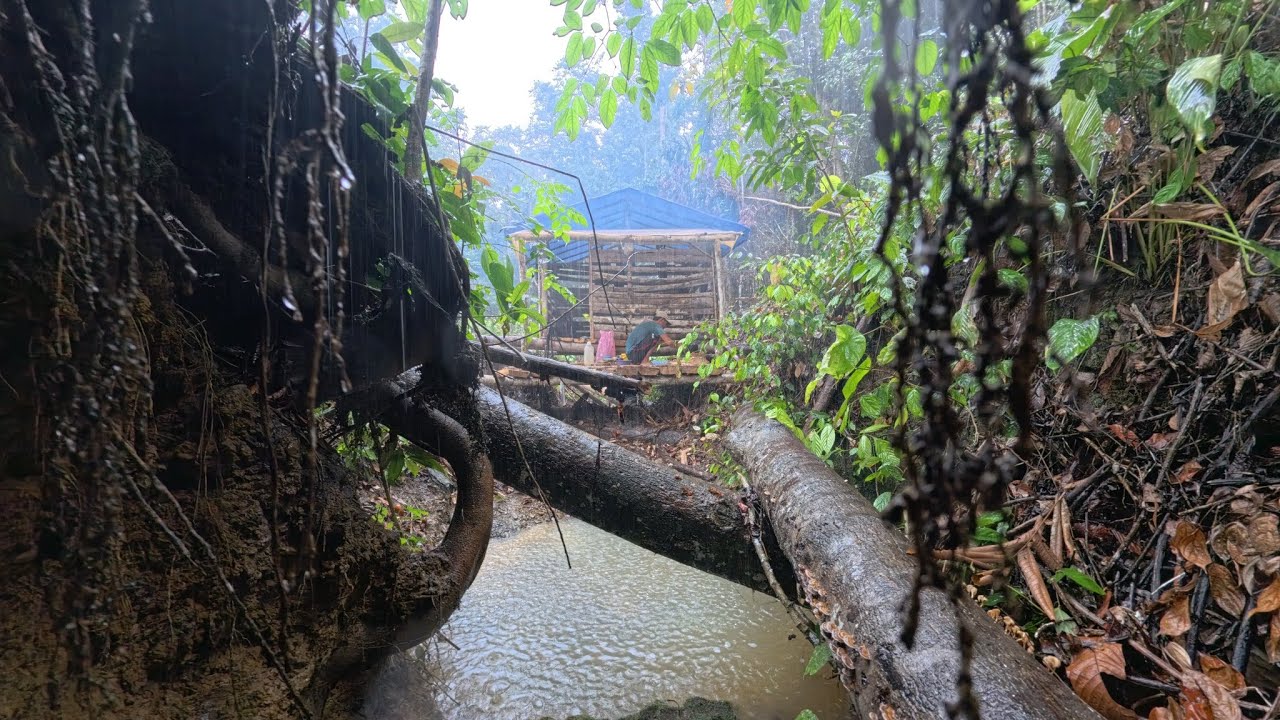 5hari berpetualang di dalam hutan kalimantan, camping ,fishing , dan berburu 