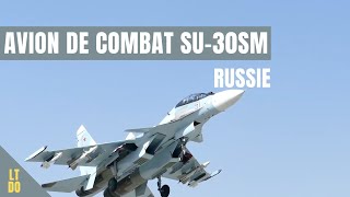 Avion Russe de combat Sukhoi Su 30SM