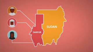 What is Going On in Darfur?