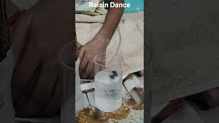 Experiment 2: Raisin Dance by PDS Trailokya, Classs 6B