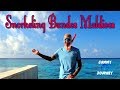 Snorkeling Bandos Maldives