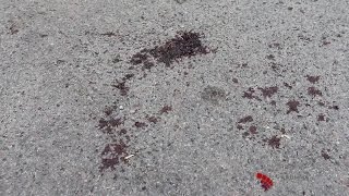 На главу запорожского ПС совершено нападение На главу запорожского ПС совершено нападение