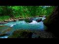 Soothing River ASMR ,Pure Water Sounds – No Rain No Music for Deep Sleep & Relaxation