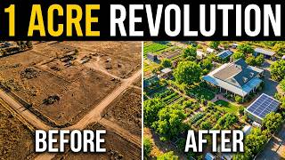 If I Had 1 Acre… This Is the Farm I Would Build