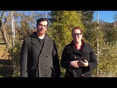 dog trainer in delhi Testimonial | Awesome words from Kvothe’s owners | Solid K9 Training Dog Training