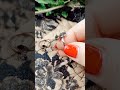 Магические колечки из меди и натуральных камней #diy #handmade #tutorial #как #jewelry #творчество