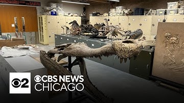 University of Chicago Fossil Lab moved to Washington Park