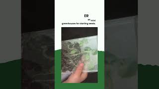 Celebrity Transforming the ordinary into the extraordinary! Profile