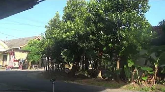 TEST HASIL RECORD CAMERA HANDYCAM SONY HDR-CX290 FHD