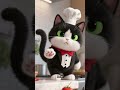 Coocking with Kitty #cooking #cats #show